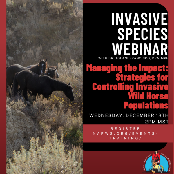 Managing the Impact: Strategies for Controlling Invasive Wild Horse Populations