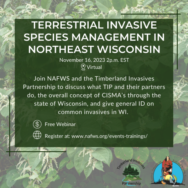Terrestrial Invasive Species Management in Northeast Wisconsin
