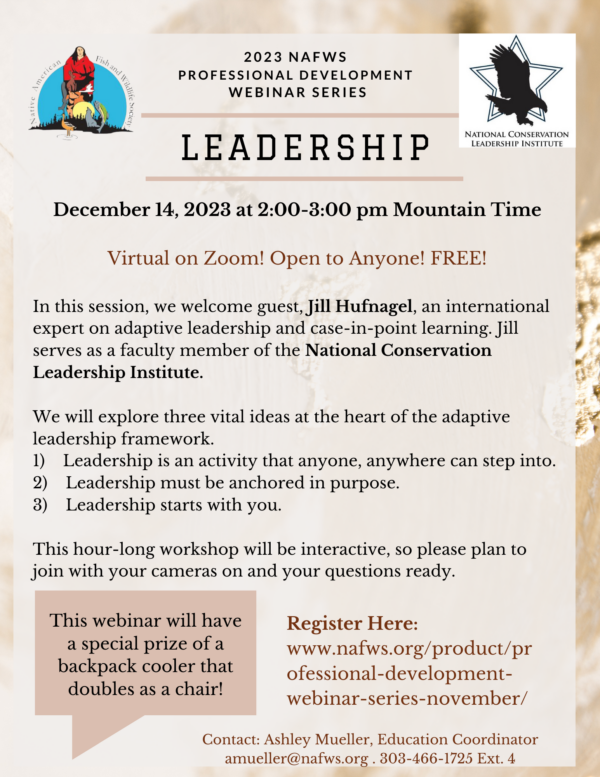 Professional Development Webinar Series: Leadership