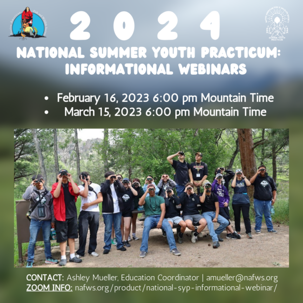 National SYP: March Informational Webinar