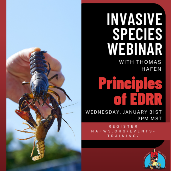 Invasive Species: Principles of Early Detection and Rapid Response