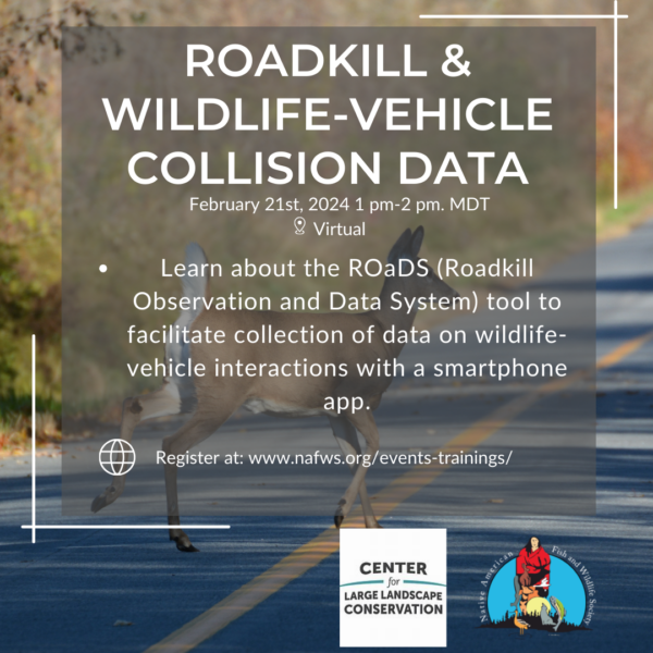 ROaDs (Roadkill Observation and Data System) Webinar