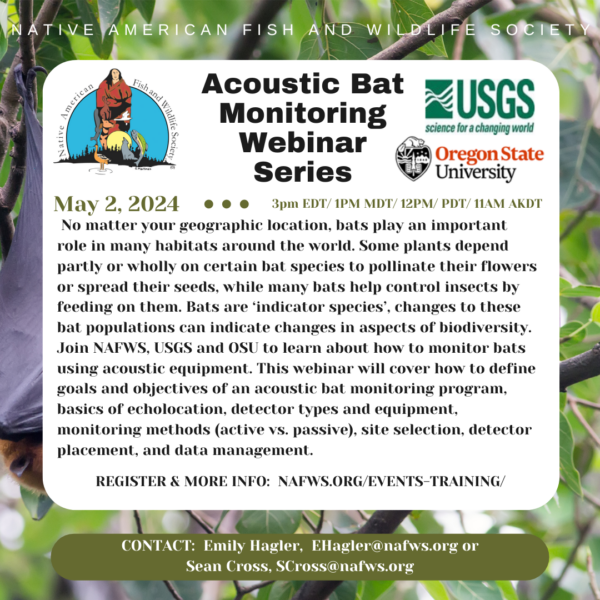 Acoustic Bat Monitoring Spring Series