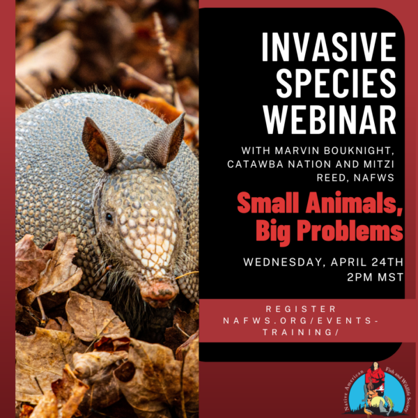 Invasive Species: Small Animals, Big Problems