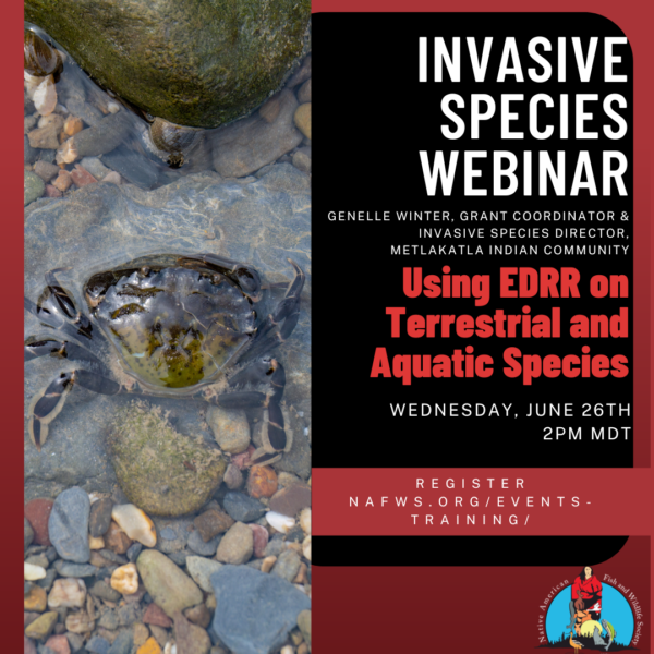 Invasive Species: Using EDRR on Terrestrial Species and Identifying European Green Crab in Alaska