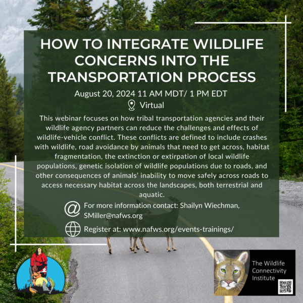 How to Integrate Wildlife Concerns into the Transportation Process