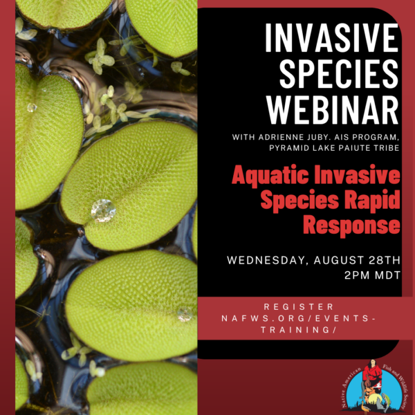 Invasive Species: Aquatic Invasive Species Rapid Response
