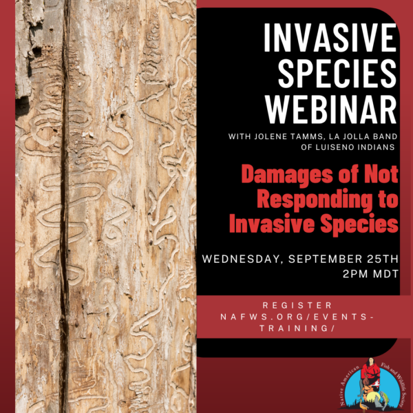 Invasive Species: Damages of Not Responding to Invasive Species