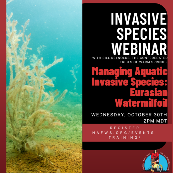 Managing Aquatic Invasive Species: Eurasian Watermilfoil