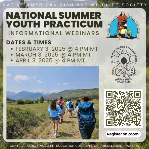 National SYP Informational Webinar: February 3