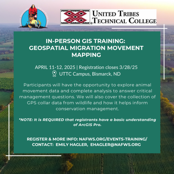 Geospatial Migration Movement Mapping