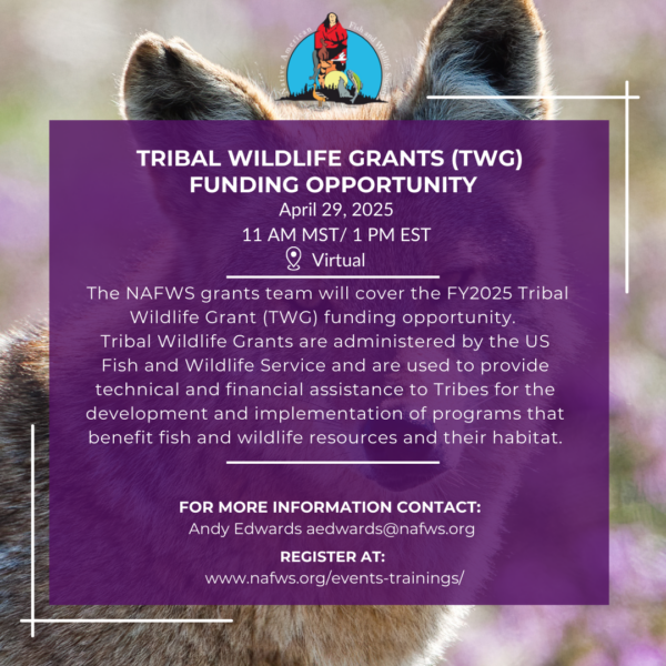 Tribal Wildlife Grants (TWG) Funding Opportunity